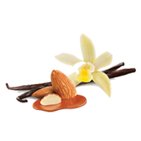 Vanilla Caramel 